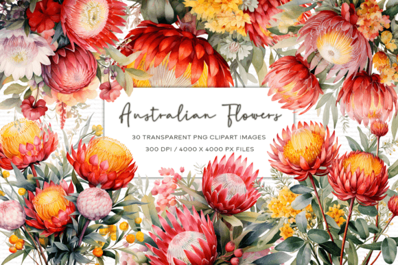 Australian Flowers Watercolor Clipart for Crafters & Handmade Sellers