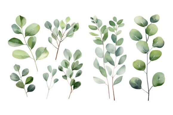 Baby Blue Watercolor Eucalyptus Clipart for Branding & Marketing Illustrations