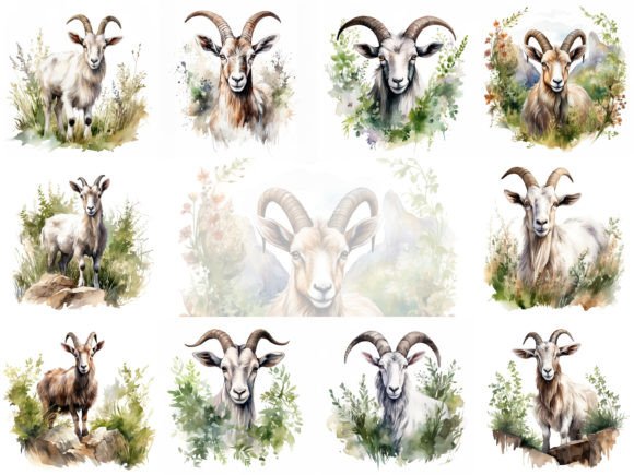 Goat Watercolor Clipart for Crafters & Etsy Sellers: A Hands-On Review
