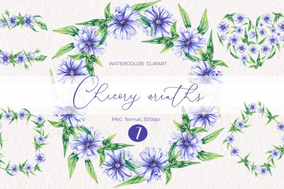 h1Watercolor Chicory Wreaths Clipart PNG for Digital Sellers and Illustration Creators/h1