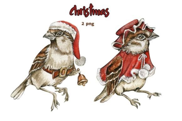 Watercolor Bird Sparrow Illustrations for Modern Editorial Design
