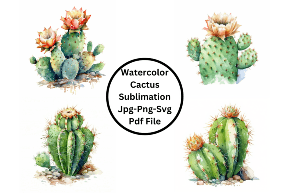 Watercolor Cactus Sublimation: A Handmade Crafter’s Review for Real Crafting Use