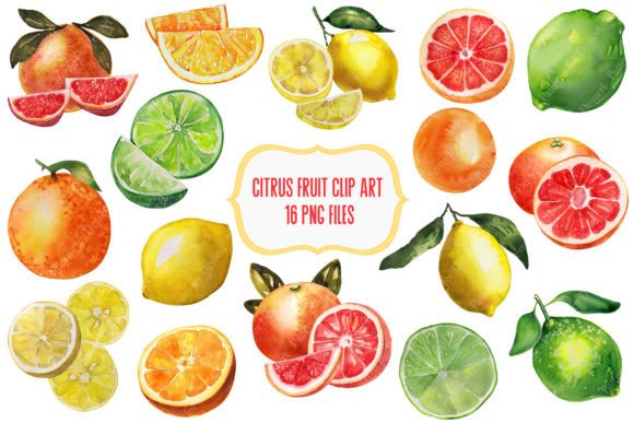 Watercolor Citrus Fruit Clip Art Brings Sunny Energy to Brand Visuals