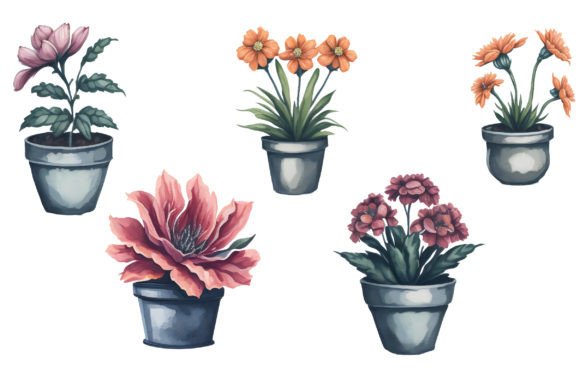 Watercolor Flowerpot Illustrations for Blog & Editorial Design