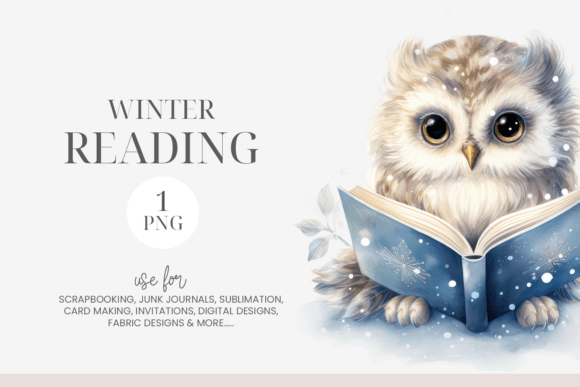 Watercolor Fluffy Owl Reading Clipart: A Soft, Storybook Touch for Local Branding & Packaging