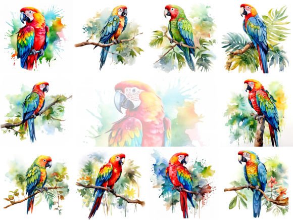 Watercolor Parrot Illustrations for Digital Sellers: A Real Product Creator’s Review