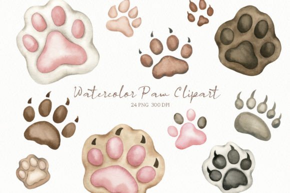 Watercolor Paw Print Illustrations: A Designer’s Review for Real Client Projects