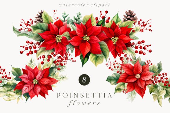 Watercolor Poinsettia Flowers Clipart: A Designer’s Review for Brand & Marketing Visuals